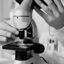 L’éthique de la recherche sur le cerveau Où tracer la ligne ?